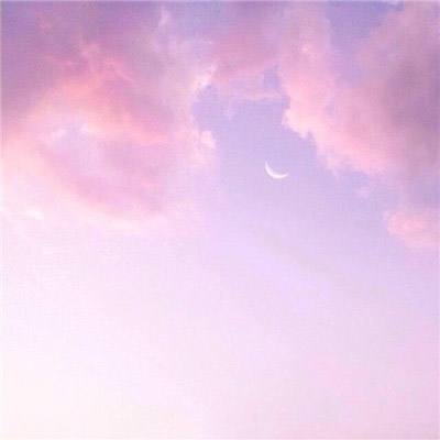 加拿大pc软件平台