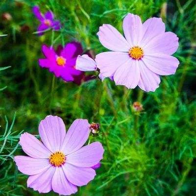 金年会体育app下载官网截图